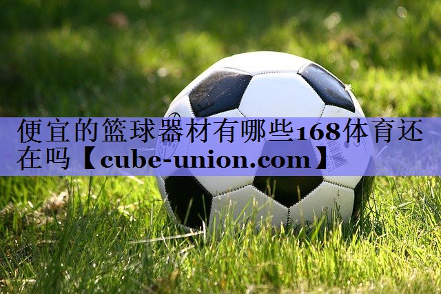 便宜的篮球器材有哪些168体育还在吗