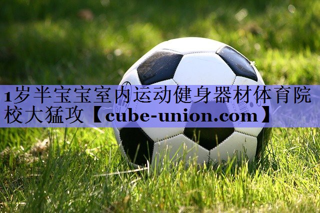 1岁半宝宝室内运动健身器材体育院校大猛攻