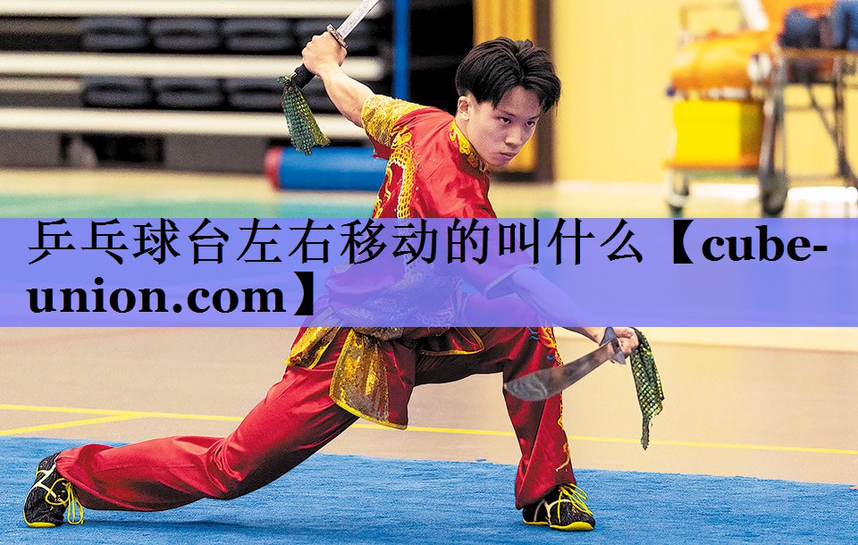 乒乓球台左右移动的叫什么